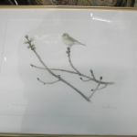 612 2260 LITOGRAPH IN C..